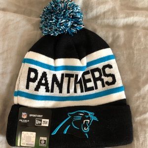 Carolina Panther Beanie